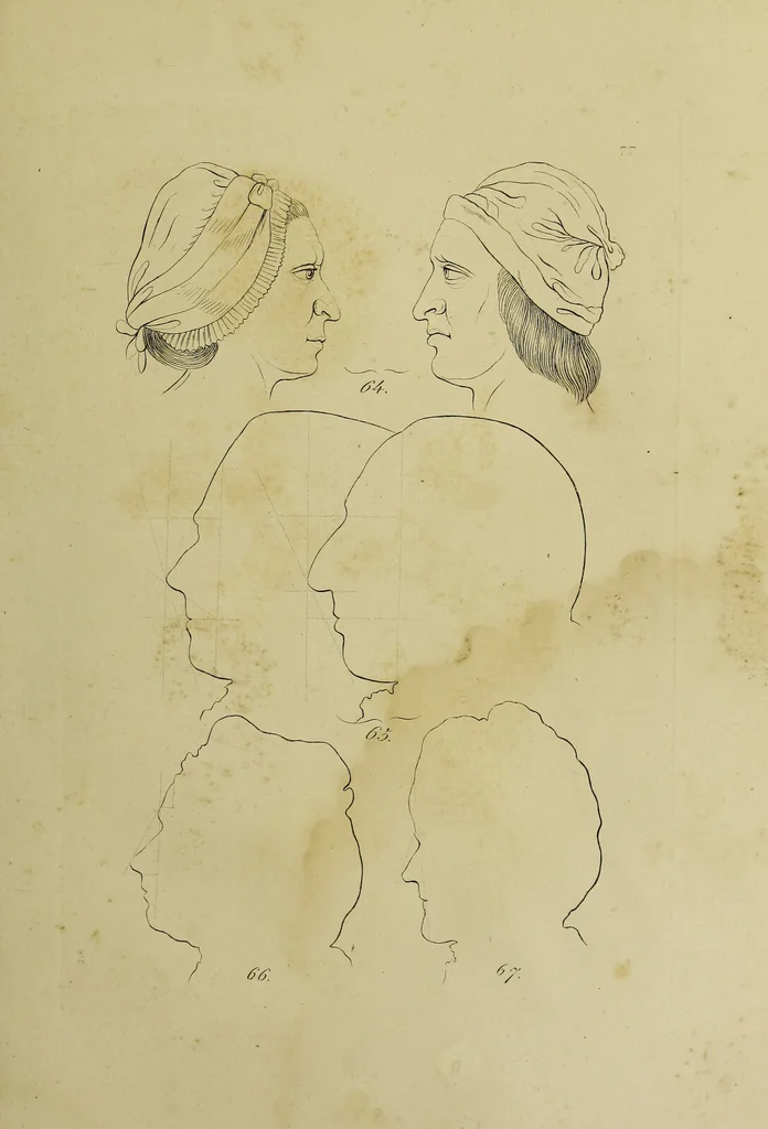 An illustration from La physiognomonie, ou l'art de connaître les hommes d'après les traits de leur physionomie, leurs rupports avec les divers animaux, leur penchans. ... / Lavater., 1841, leaf 467