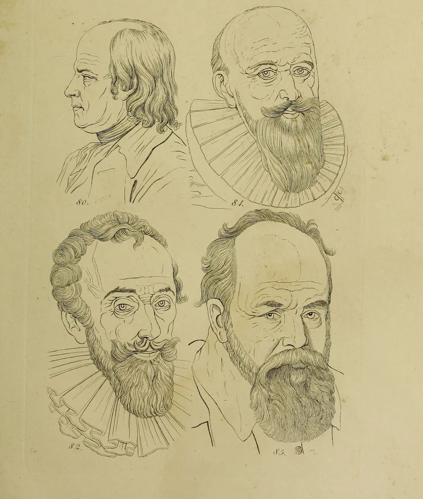An illustration from La physiognomonie, ou l'art de connaître les hommes d'après les traits de leur physionomie, leurs rupports avec les divers animaux, leur penchans. ... / Lavater., 1841, leaf 473