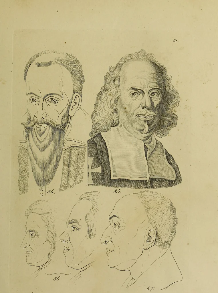 An illustration from La physiognomonie, ou l'art de connaître les hommes d'après les traits de leur physionomie, leurs rupports avec les divers animaux, leur penchans. ... / Lavater., 1841, leaf 475