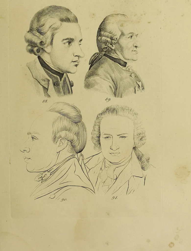 An illustration from La physiognomonie, ou l'art de connaître les hommes d'après les traits de leur physionomie, leurs rupports avec les divers animaux, leur penchans. ... / Lavater., 1841, leaf 477