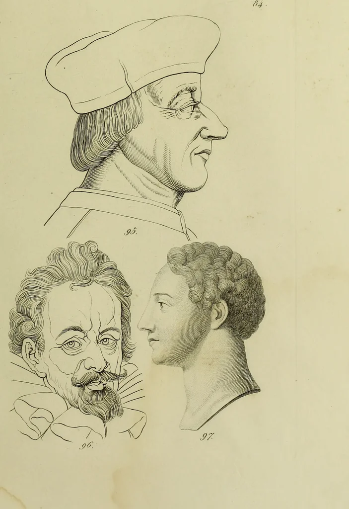 An illustration from La physiognomonie, ou l'art de connaître les hommes d'après les traits de leur physionomie, leurs rupports avec les divers animaux, leur penchans. ... / Lavater., 1841, leaf 481