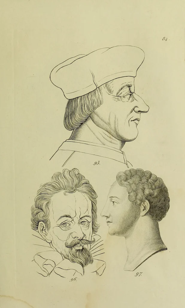An illustration from La physiognomonie, ou l'art de connaître les hommes d'après les traits de leur physionomie, leurs rupports avec les divers animaux, leur penchans. ... / Lavater., 1841, leaf 483