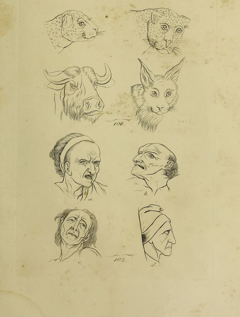 An illustration from La physiognomonie, ou l'art de connaître les hommes d'après les traits de leur physionomie, leurs rupports avec les divers animaux, leur penchans. ... / Lavater., 1841, leaf 487