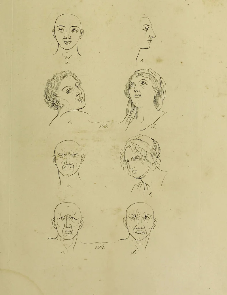 An illustration from La physiognomonie, ou l'art de connaître les hommes d'après les traits de leur physionomie, leurs rupports avec les divers animaux, leur penchans. ... / Lavater., 1841, leaf 489