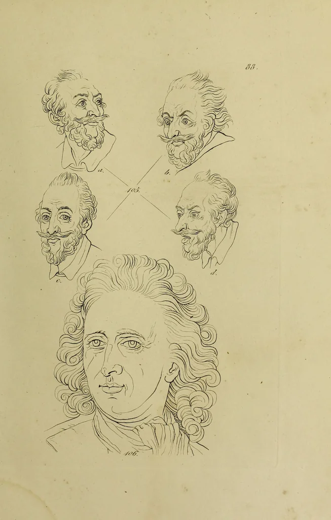 An illustration from La physiognomonie, ou l'art de connaître les hommes d'après les traits de leur physionomie, leurs rupports avec les divers animaux, leur penchans. ... / Lavater., 1841, leaf 491