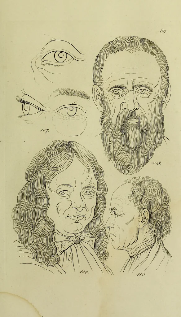An illustration from La physiognomonie, ou l'art de connaître les hommes d'après les traits de leur physionomie, leurs rupports avec les divers animaux, leur penchans. ... / Lavater., 1841, leaf 493