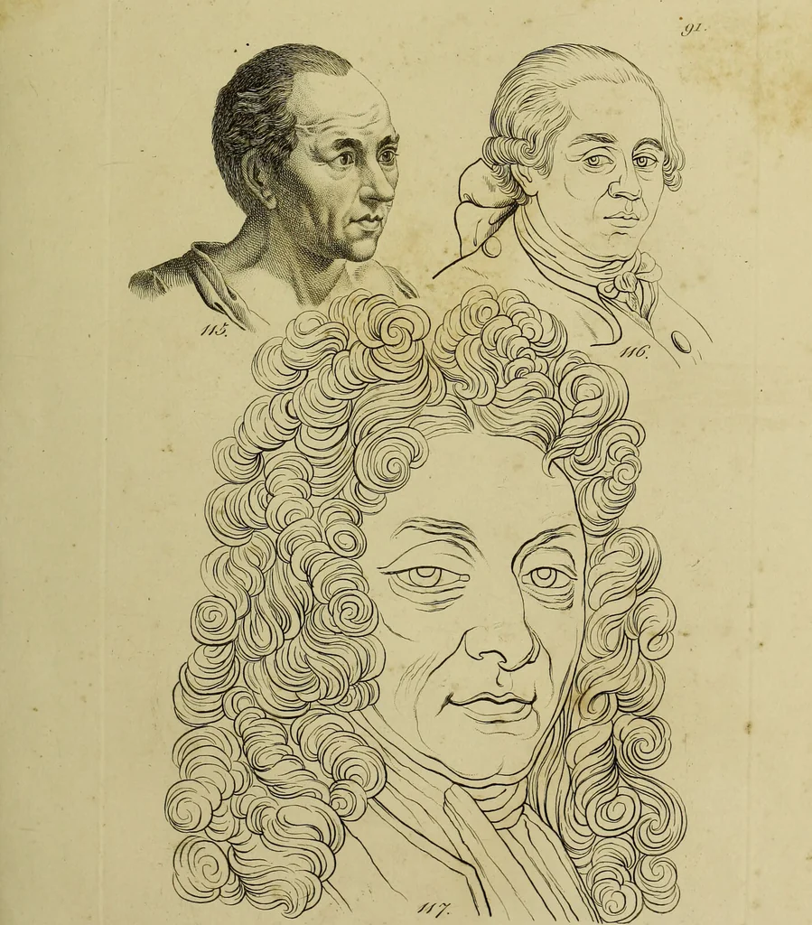 An illustration from La physiognomonie, ou l'art de connaître les hommes d'après les traits de leur physionomie, leurs rupports avec les divers animaux, leur penchans. ... / Lavater., 1841, leaf 497