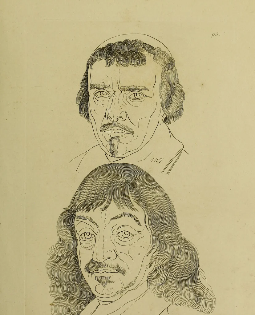 An illustration from La physiognomonie, ou l'art de connaître les hommes d'après les traits de leur physionomie, leurs rupports avec les divers animaux, leur penchans. ... / Lavater., 1841, leaf 505