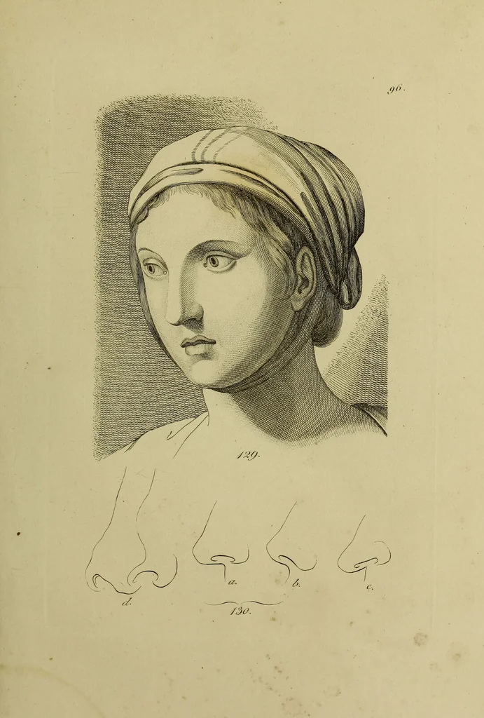 An illustration from La physiognomonie, ou l'art de connaître les hommes d'après les traits de leur physionomie, leurs rupports avec les divers animaux, leur penchans. ... / Lavater., 1841, leaf 507