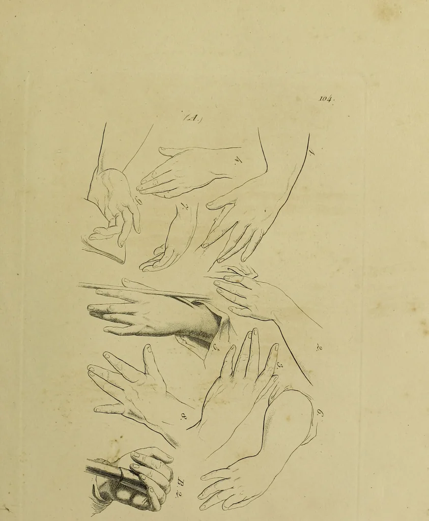 An illustration from La physiognomonie, ou l'art de connaître les hommes d'après les traits de leur physionomie, leurs rupports avec les divers animaux, leur penchans. ... / Lavater., 1841, leaf 523
