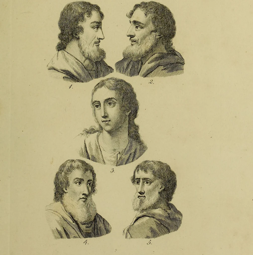 An illustration from La physiognomonie, ou l'art de connaître les hommes d'après les traits de leur physionomie, leurs rupports avec les divers animaux, leur penchans. ... / Lavater., 1841, leaf 535