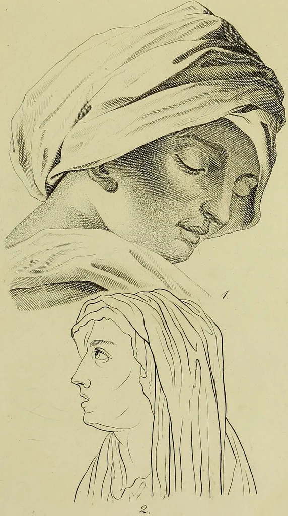 An illustration from La physiognomonie, ou l'art de connaître les hommes d'après les traits de leur physionomie, leurs rupports avec les divers animaux, leur penchans. ... / Lavater., 1841, leaf 537