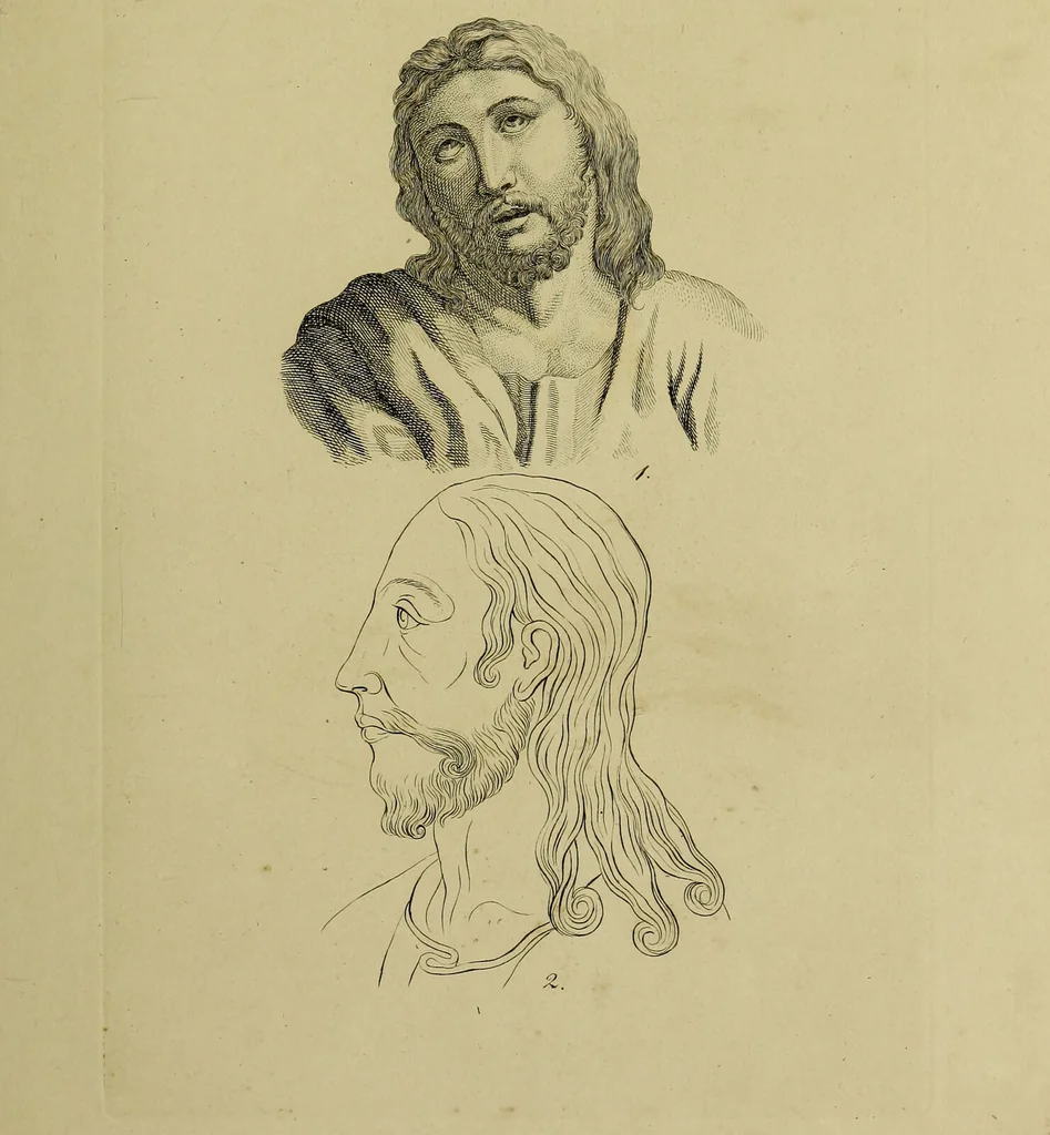 An illustration from La physiognomonie, ou l'art de connaître les hommes d'après les traits de leur physionomie, leurs rupports avec les divers animaux, leur penchans. ... / Lavater., 1841, leaf 541