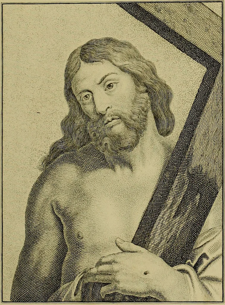An illustration from La physiognomonie, ou l'art de connaître les hommes d'après les traits de leur physionomie, leurs rupports avec les divers animaux, leur penchans. ... / Lavater., 1841, leaf 543