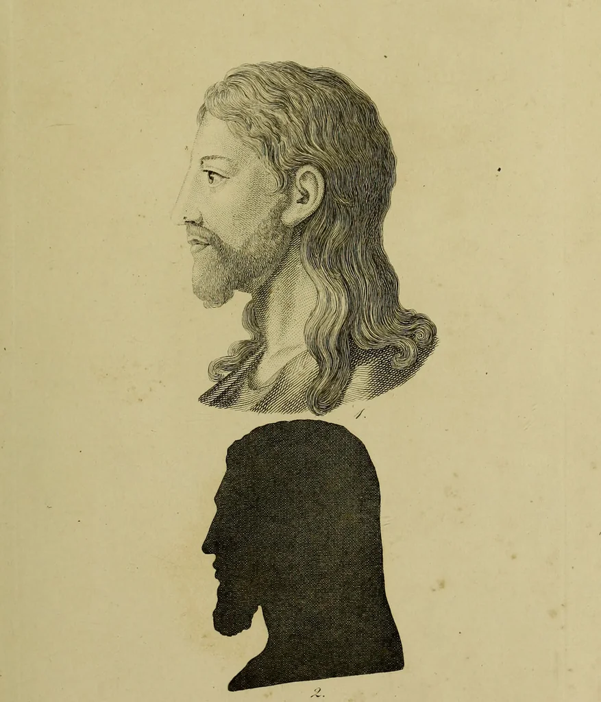 An illustration from La physiognomonie, ou l'art de connaître les hommes d'après les traits de leur physionomie, leurs rupports avec les divers animaux, leur penchans. ... / Lavater., 1841, leaf 545