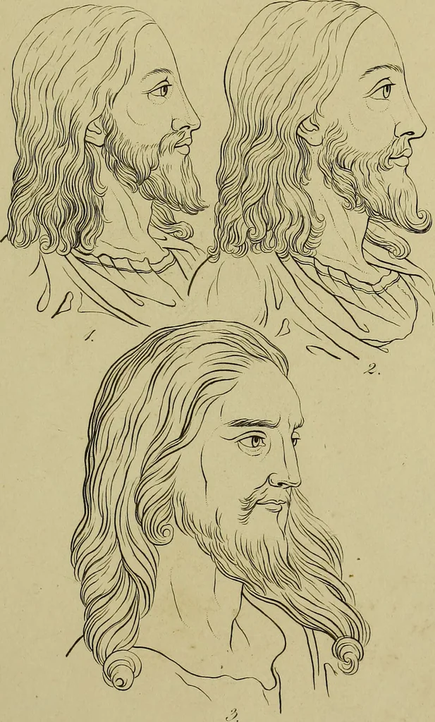 An illustration from La physiognomonie, ou l'art de connaître les hommes d'après les traits de leur physionomie, leurs rupports avec les divers animaux, leur penchans. ... / Lavater., 1841, leaf 547