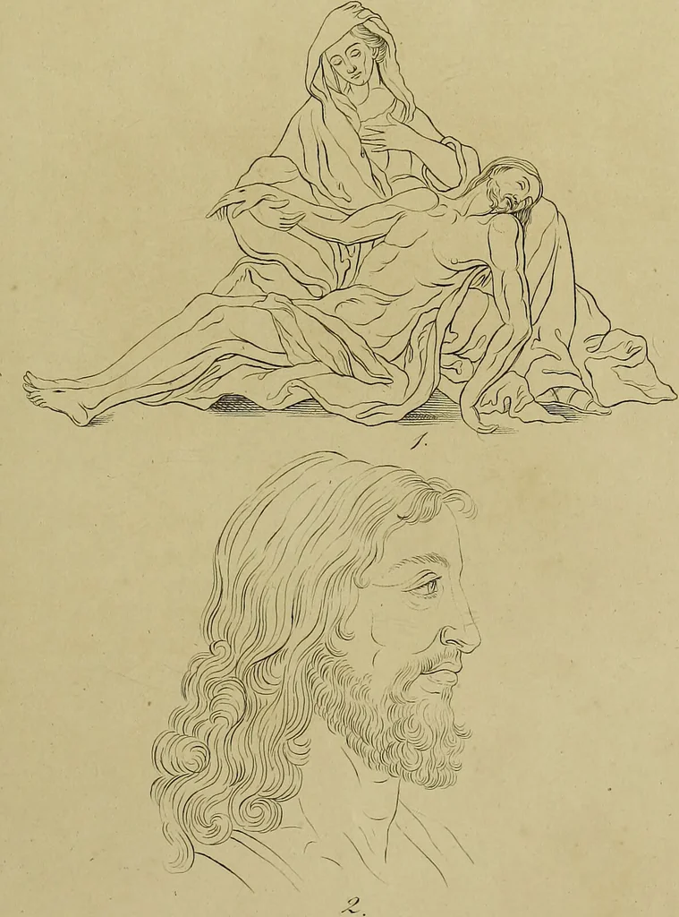 An illustration from La physiognomonie, ou l'art de connaître les hommes d'après les traits de leur physionomie, leurs rupports avec les divers animaux, leur penchans. ... / Lavater., 1841, leaf 549