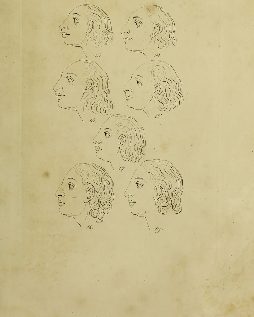 An illustration from La physiognomonie, ou l'art de connaître les hommes d'après les traits de leur physionomie, leurs rupports avec les divers animaux, leur penchans. ... / Lavater., 1841, leaf 553