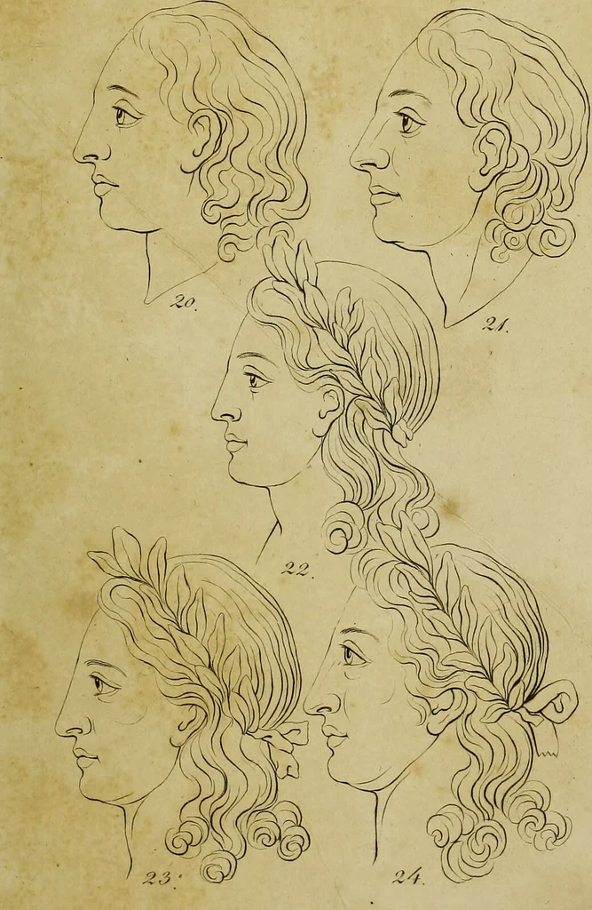 An illustration from La physiognomonie, ou l'art de connaître les hommes d'après les traits de leur physionomie, leurs rupports avec les divers animaux, leur penchans. ... / Lavater., 1841, leaf 555