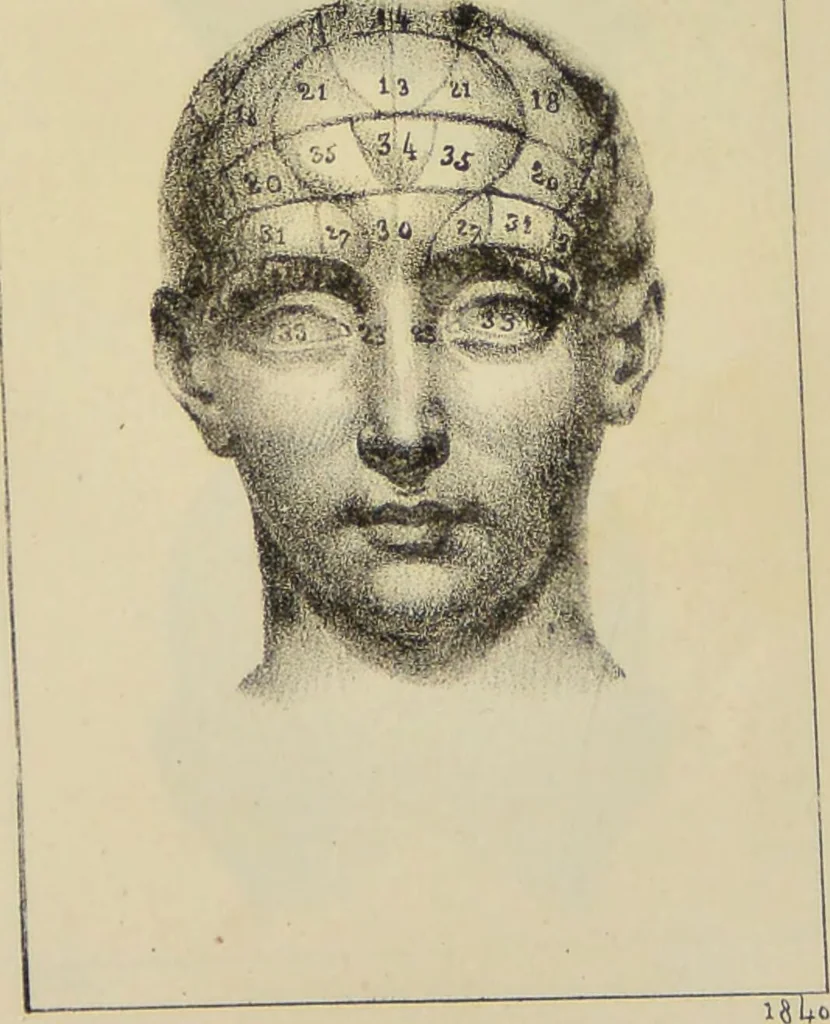 An illustration from Nuevo manual de frenolojía, escrito en inglés ... / puesto en francés con numerosas notas por el Doctor J. Fossati ... y traducido al español por Don José de Garaycoechea., 1840, leaf 329