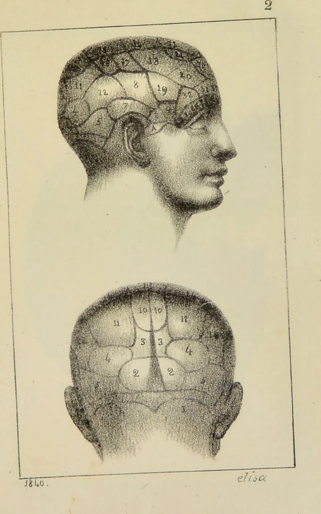 An illustration from Nuevo manual de frenolojía, escrito en inglés ... / puesto en francés con numerosas notas por el Doctor J. Fossati ... y traducido al español por Don José de Garaycoechea., 1840, leaf 331
