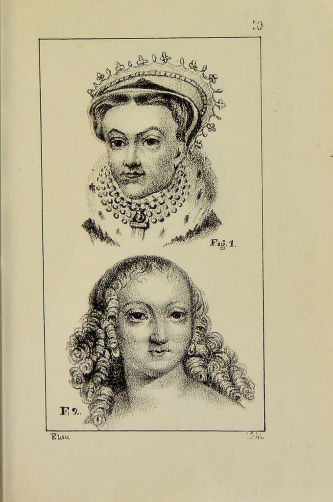 An illustration from Nuevo manual de frenolojía, escrito en inglés ... / puesto en francés con numerosas notas por el Doctor J. Fossati ... y traducido al español por Don José de Garaycoechea., 1840, leaf 347