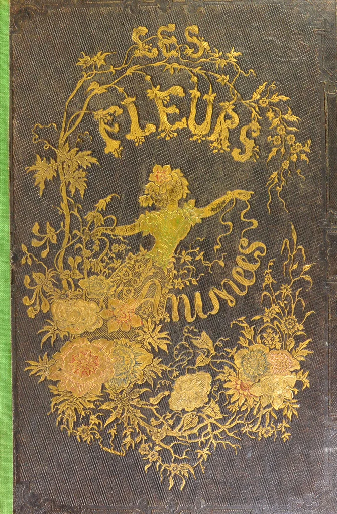 An illustration from Les fleurs animées / par J.J. Grandville ; introductions par Alph. Karr ; texte par Taxile Delord., 1847, leaf 1