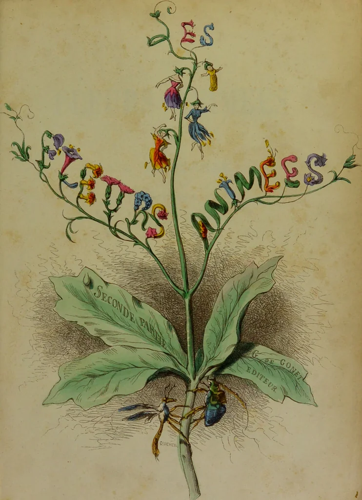 An illustration from Les fleurs animées / par J.J. Grandville ; introductions par Alph. Karr ; texte par Taxile Delord., 1847, leaf 11