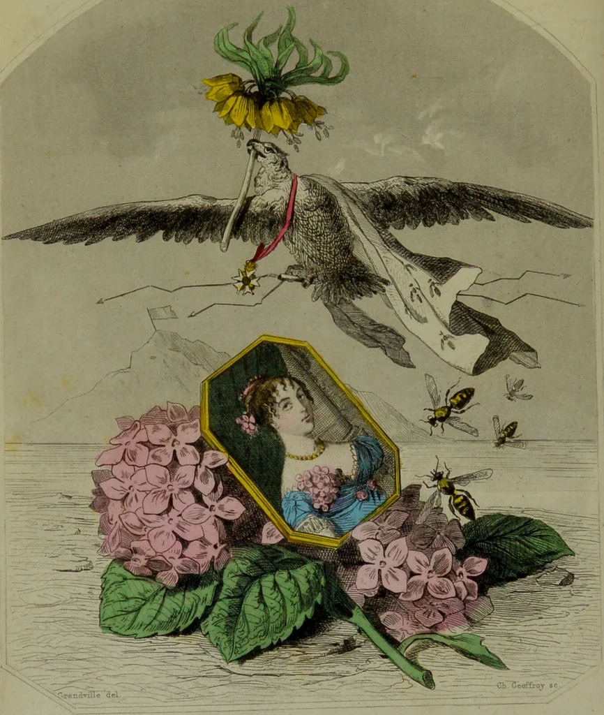 An illustration from Les fleurs animées / par J.J. Grandville ; introductions par Alph. Karr ; texte par Taxile Delord., 1847, leaf 118