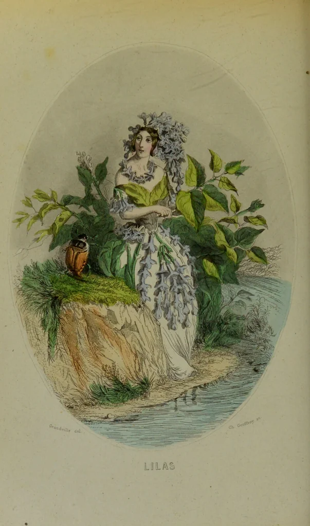 An illustration from Les fleurs animées / par J.J. Grandville ; introductions par Alph. Karr ; texte par Taxile Delord., 1847, leaf 168