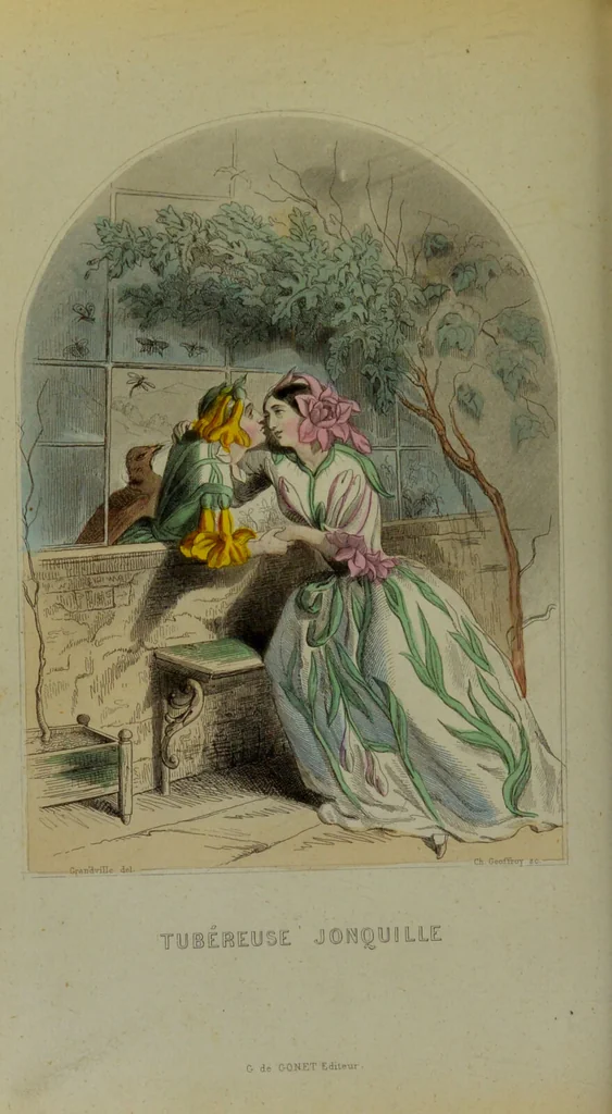 An illustration from Les fleurs animées / par J.J. Grandville ; introductions par Alph. Karr ; texte par Taxile Delord., 1847, leaf 174