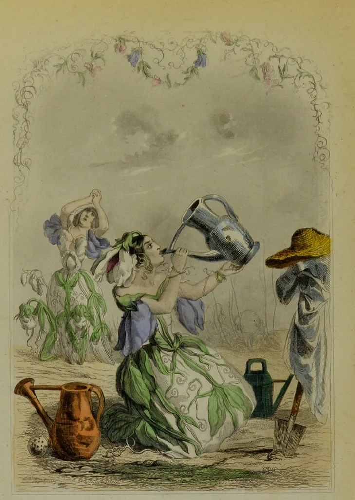 An illustration from Les fleurs animées / par J.J. Grandville ; introductions par Alph. Karr ; texte par Taxile Delord., 1847, leaf 18