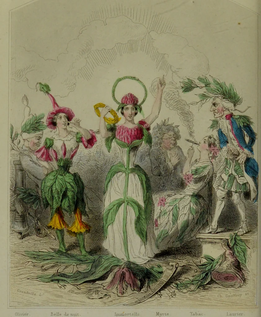 An illustration from Les fleurs animées / par J.J. Grandville ; introductions par Alph. Karr ; texte par Taxile Delord., 1847, leaf 192