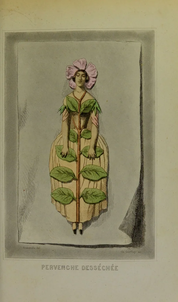 An illustration from Les fleurs animées / par J.J. Grandville ; introductions par Alph. Karr ; texte par Taxile Delord., 1847, leaf 201