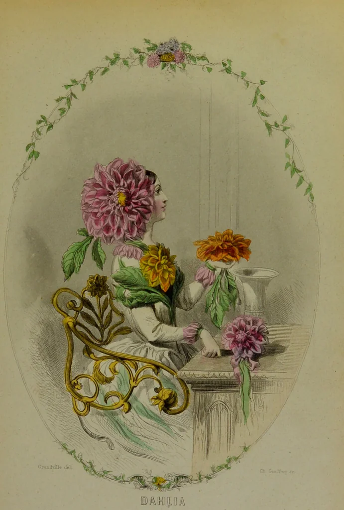 An illustration from Les fleurs animées / par J.J. Grandville ; introductions par Alph. Karr ; texte par Taxile Delord., 1847, leaf 33