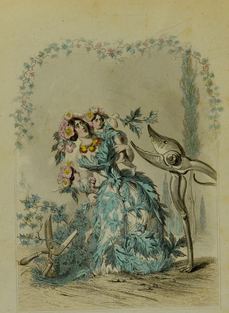 An illustration from Les fleurs animées / par J.J. Grandville ; introductions par Alph. Karr ; texte par Taxile Delord., 1847, leaf 50