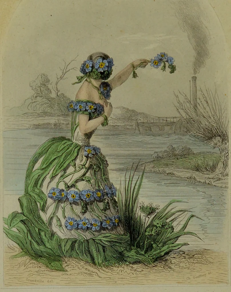 An illustration from Les fleurs animées / par J.J. Grandville ; introductions par Alph. Karr ; texte par Taxile Delord., 1847, leaf 70