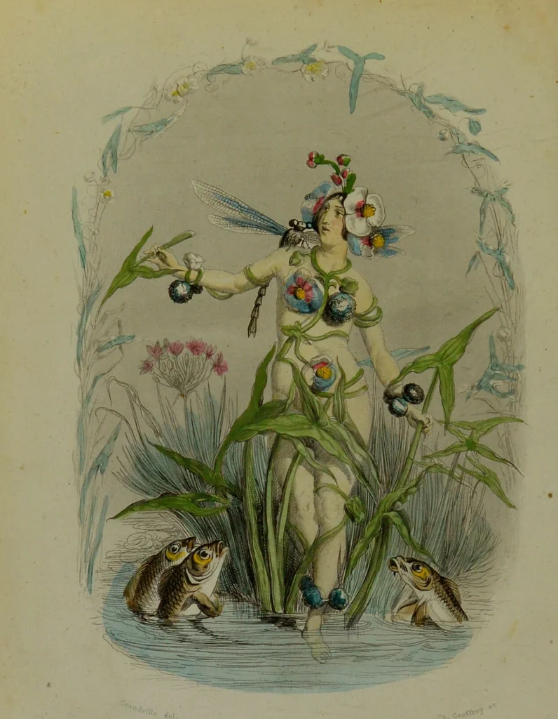 An illustration from Les fleurs animées / par J.J. Grandville ; introductions par Alph. Karr ; texte par Taxile Delord., 1847, leaf 98