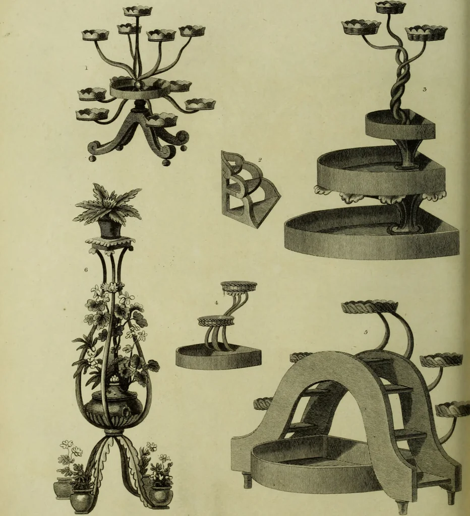 An illustration from The universal herbal; or, botanical, medical, and agricultural dictionary / [Thomas Green]., 1828, leaf 124