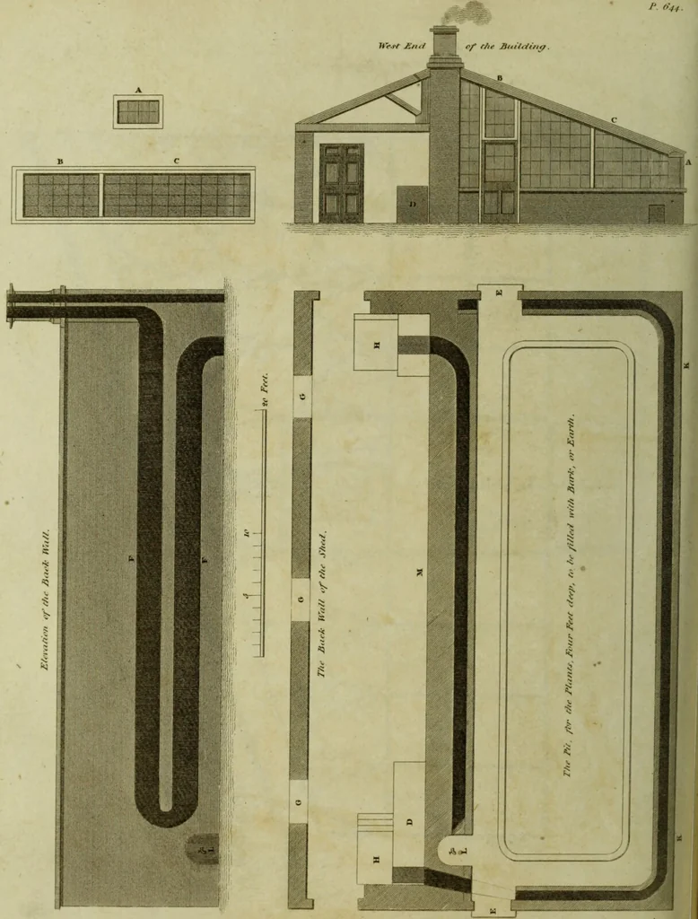 An illustration from The universal herbal; or, botanical, medical, and agricultural dictionary / [Thomas Green]., 1828, leaf 128