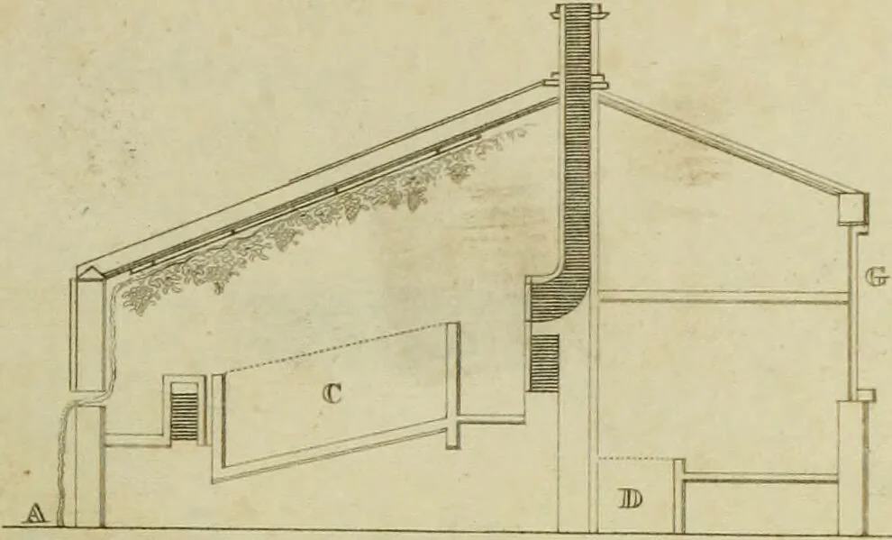 An illustration from The universal herbal; or, botanical, medical, and agricultural dictionary / [Thomas Green]., 1828, leaf 129