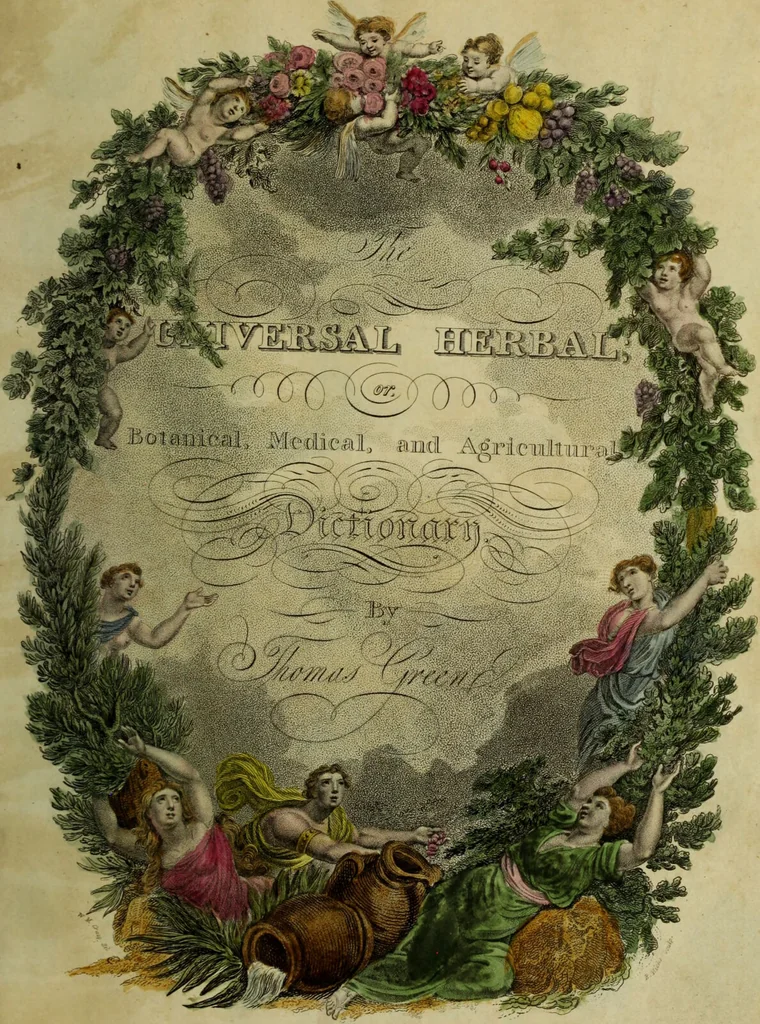 An illustration from The universal herbal; or, botanical, medical, and agricultural dictionary / [Thomas Green]., 1828, leaf 13
