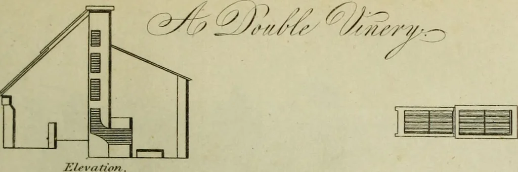 An illustration from The universal herbal; or, botanical, medical, and agricultural dictionary / [Thomas Green]., 1828, leaf 131