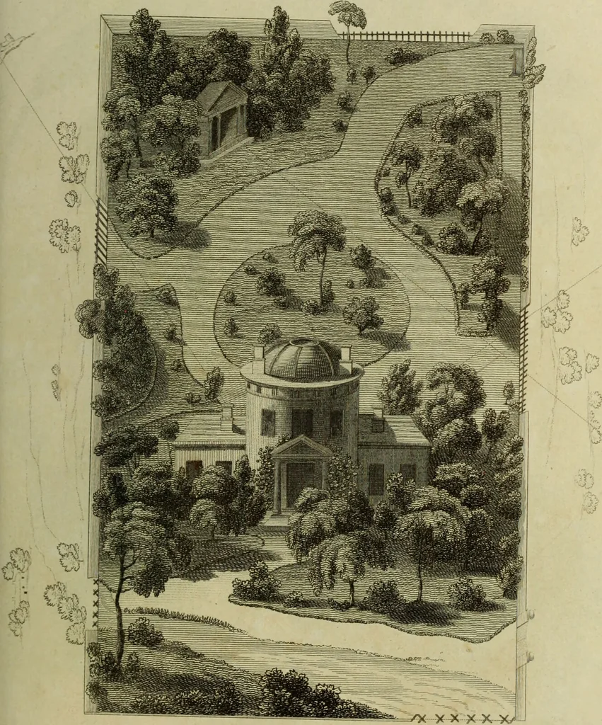 An illustration from The universal herbal; or, botanical, medical, and agricultural dictionary / [Thomas Green]., 1828, leaf 133