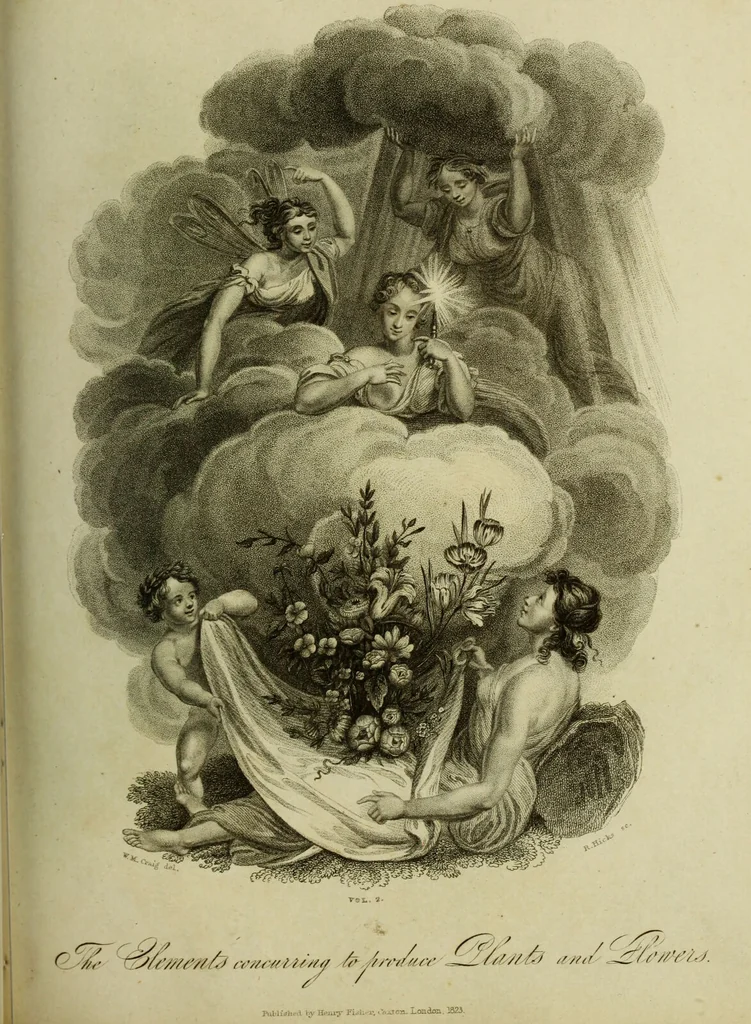 An illustration from The universal herbal; or, botanical, medical, and agricultural dictionary / [Thomas Green]., 1828, leaf 137