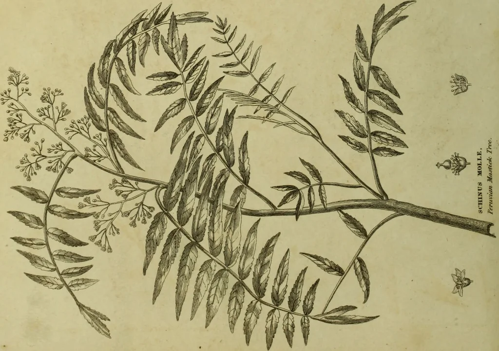 An illustration from The universal herbal; or, botanical, medical, and agricultural dictionary / [Thomas Green]., 1828, leaf 196