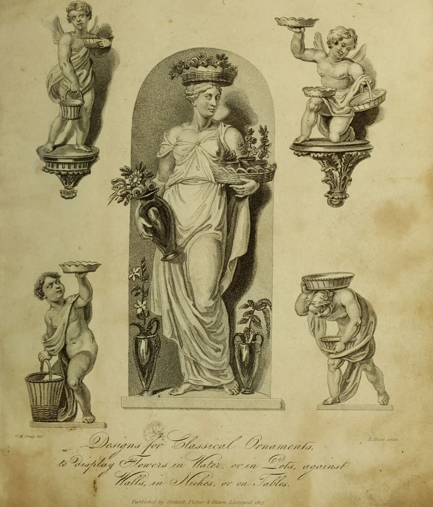An illustration from The universal herbal; or, botanical, medical, and agricultural dictionary / [Thomas Green]., 1828, leaf 9