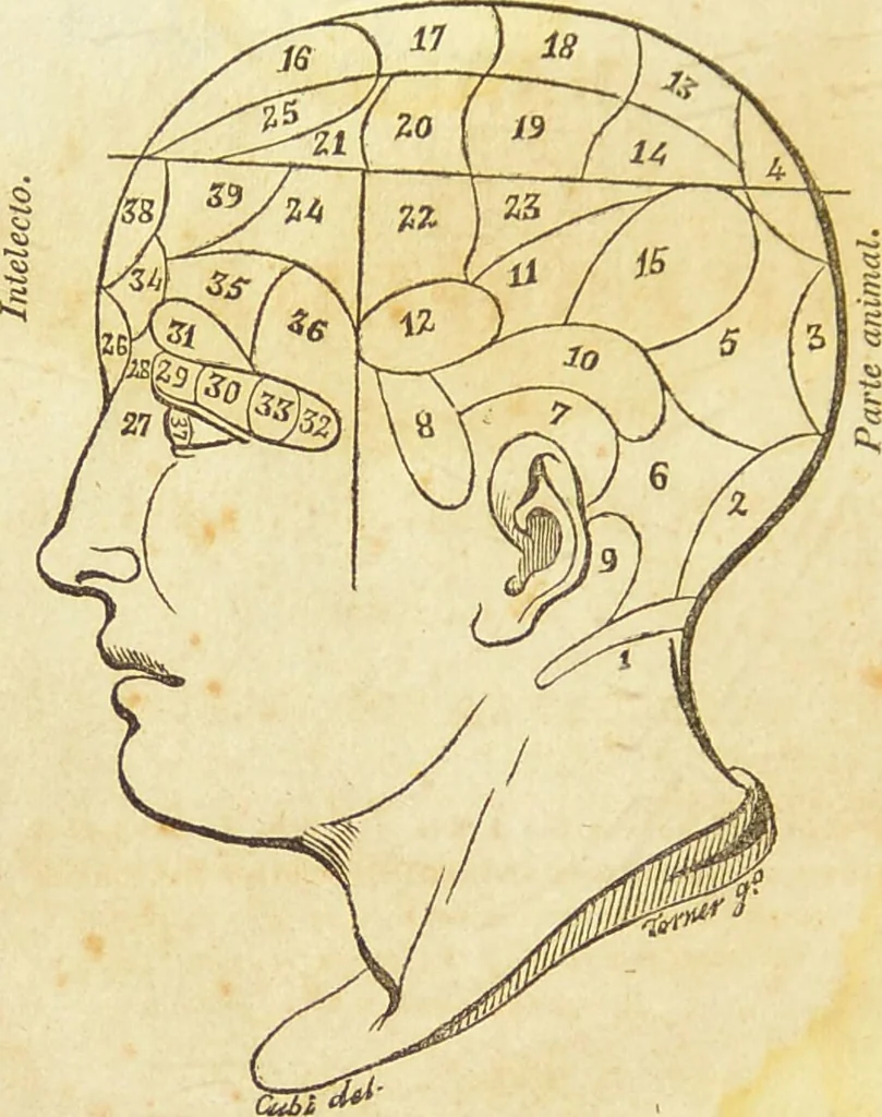 An illustration from Manual de frenolojía, o sea filosofía del entendimiento humano fundada sobre la fisiología del zélebro / Por Mariano Cubi y Soler., 1843, leaf 8