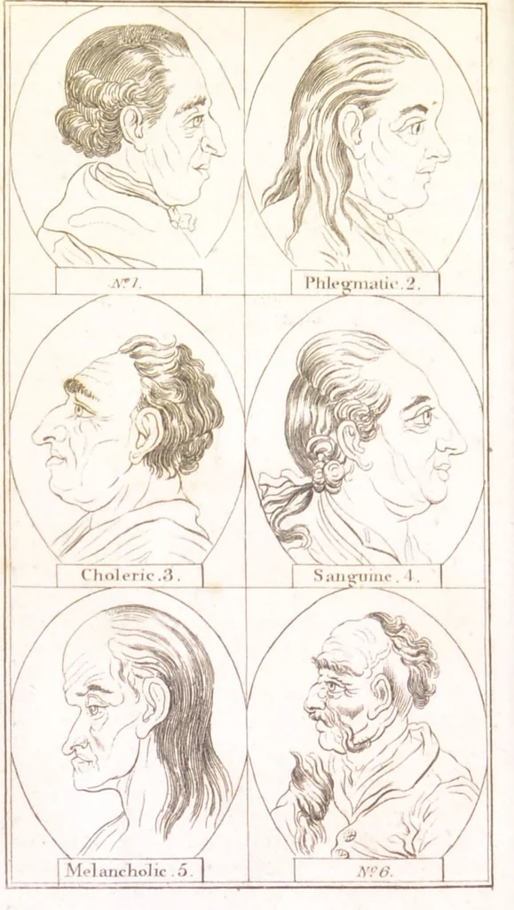 An illustration from Essays on physiognomy. ... for the promotion and the love of mankind / written in the German language by John Caspar Lavater ; tr. by Thomas Holcroft., 1806, leaf 136