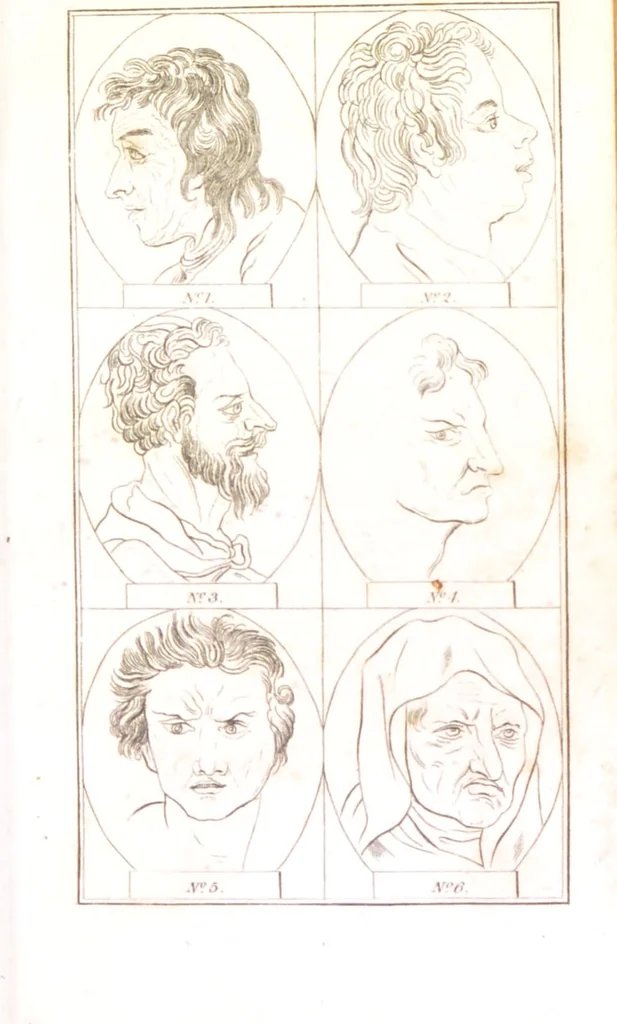 An illustration from Essays on physiognomy. ... for the promotion and the love of mankind / written in the German language by John Caspar Lavater ; tr. by Thomas Holcroft., 1806, leaf 55